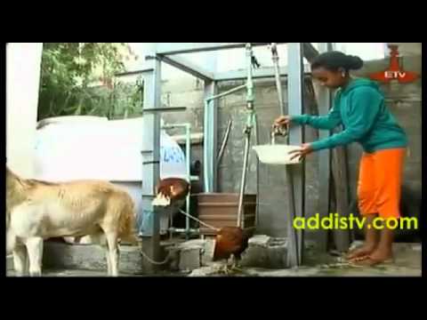 Betoch   Part 13   Ethiopian Comedy Drama