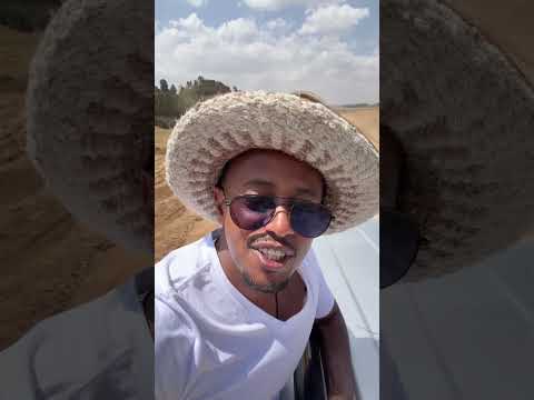 ያወጣችሁት ገንዘብ የት እንደደረሰ ላሳያችሁ #comedianeshetu #duet #dinklijoch #habesha